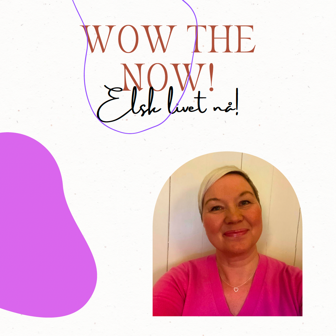 Wow the Now - 5 timers onlinekurs + workbook